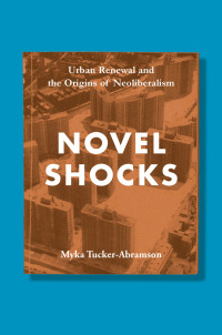 Cover image: Novel Shocks 1st edition 9780823282708