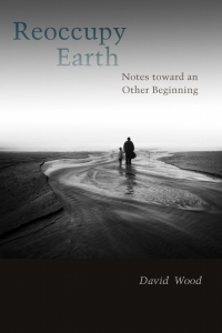 Cover image: Reoccupy Earth 1st edition 9780823283545