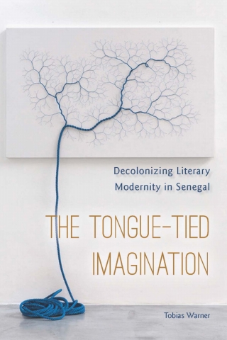 Cover image: The Tongue-Tied Imagination 1st edition 9780823284634