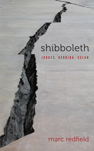 Cover image: Shibboleth 1st edition 9780823289066