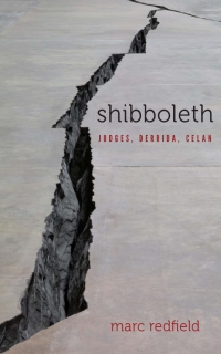 Omslagafbeelding: Shibboleth 1st edition 9780823289066