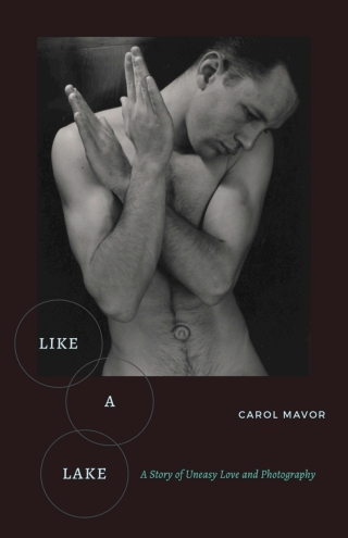 Cover image: Like a Lake 1st edition 9780823289325
