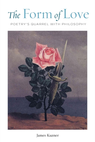 Cover image: The Form of Love 1st edition 9780823294510
