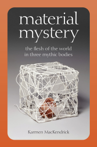Cover image: Material Mystery 1st edition 9780823294558