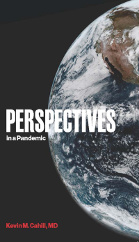 Cover image: Perspectives in a Pandemic 1st edition 9780823294985