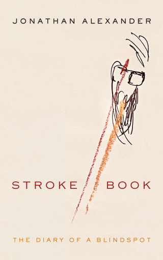 Cover image: Stroke Book 1st edition 9781531507305