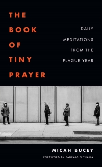 Cover image: The Book of Tiny Prayer 1st edition 9780823299225