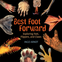 Cover image: Best Foot Forward 9780823428571
