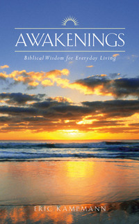 Imagen de portada: Awakenings 1st edition