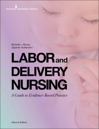 Cover image: Labor and Delivery Nursing, Second Edition 2nd edition 9780826184757