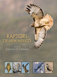 Imagen de portada: Raptors of New Mexico 9780826341457
