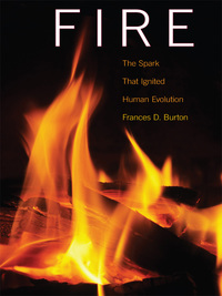 Cover image: Fire 9780826346469