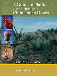 Cover image: A Guide to Plants of the Northern Chihuahuan Desert 9780826350213