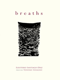 Cover image: Breaths 9780826350701