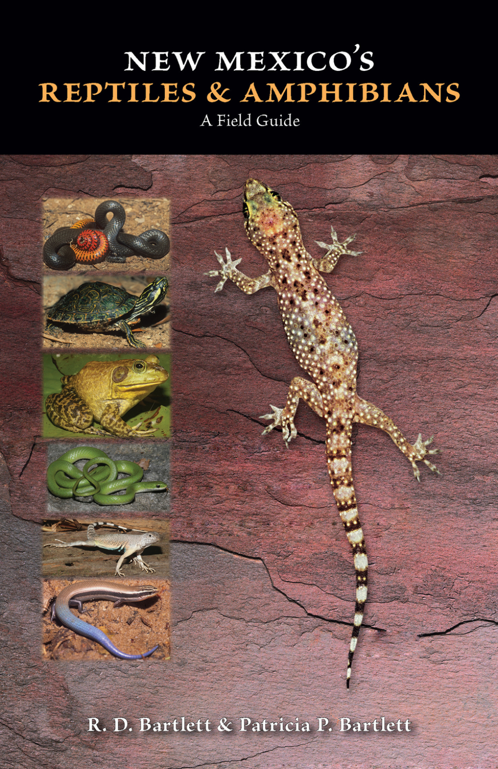New Mexico’s Reptiles and Amphibians A Field Guide