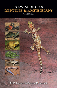 Cover image: New Mexico's Reptiles and Amphibians 9780826352071