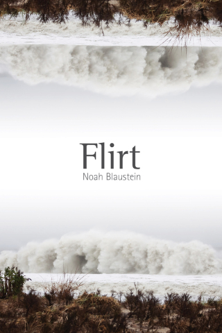 Cover image: Flirt 9780826353832