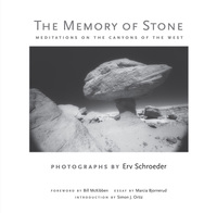 Cover image: The Memory of Stone 9780826354860