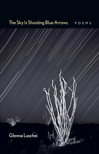 Cover image: The Sky Is Shooting Blue Arrows 9780826354938