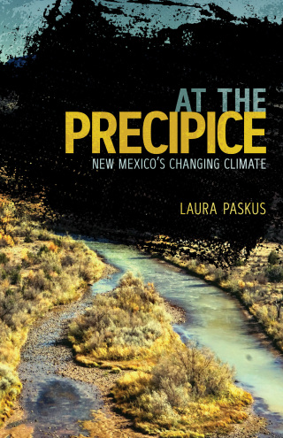 Imagen de portada: At the Precipice 9780826359117