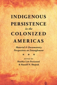 Cover image: Indigenous Persistence in the Colonized Americas 1st edition 9780826360427