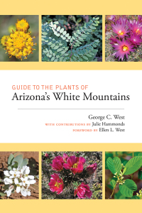 表紙画像: Guide to the Plants of Arizona's White Mountains 9780826360694
