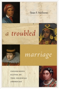 Cover image: A Troubled Marriage 9780826361196
