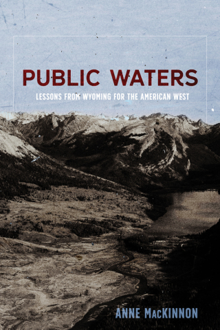 Cover image: Public Waters 9780826362414