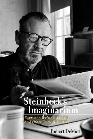 Cover image: Steinbeck's Imaginarium 9780826364289