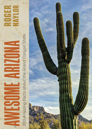 Cover image: Awesome Arizona 9780826364579