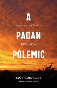 Cover image: A Pagan Polemic 9780826365170