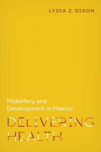 Cover image: Delivering Health 9780826501141