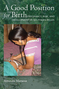 Cover image: A Good Position for Birth 9780826522009