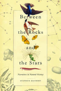 Cover image: Between the Rocks and the Stars 9780826522740