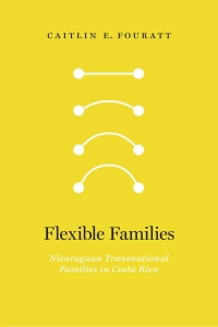 Imagen de portada: Flexible Families 9780826504364