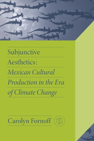 Cover image: Subjunctive Aesthetics 9780826506177