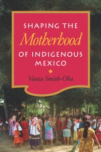 Omslagafbeelding: Shaping the Motherhood of Indigenous Mexico 9780826519184