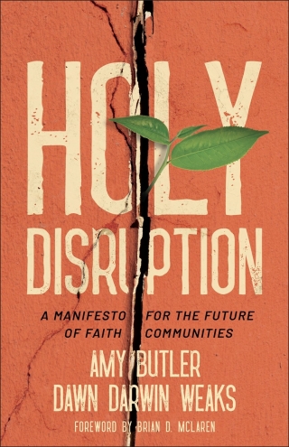 Cover image: Holy Disruption 9780827215184