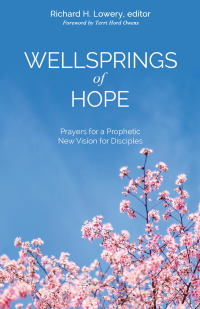 Cover image: Wellsprings of Hope 9780827243330