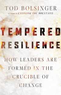 Cover image: Tempered Resilience 9780830841646