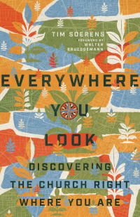 Cover image: Everywhere You Look 9780830841561