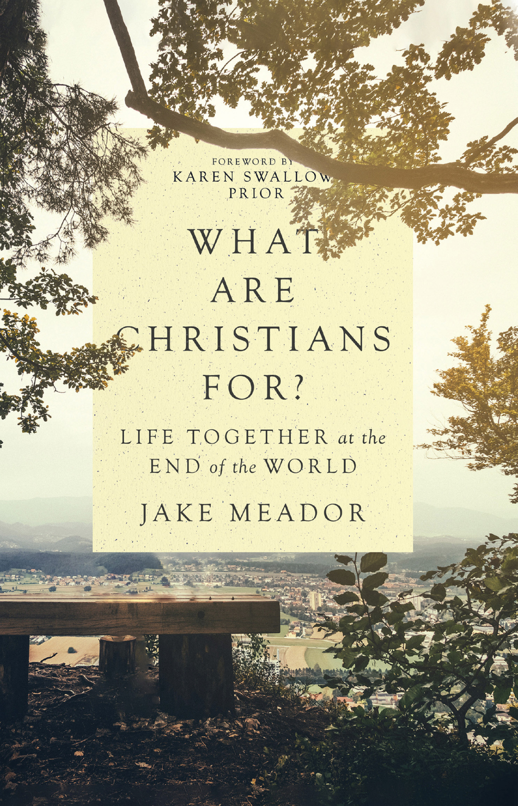 What Are Christians For eBook