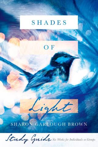 Cover image: Shades of Light Study Guide 9780830846641