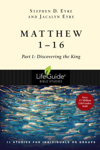 Cover image: Matthew 1-16 9780830830039