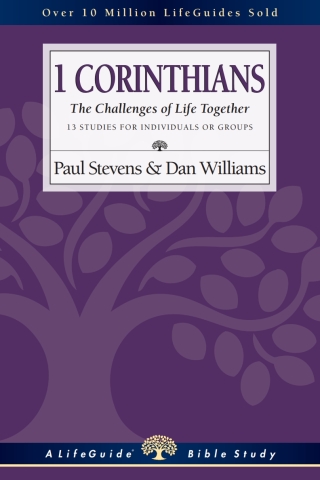 Imagen de portada: 1 Corinthians 9780830830091