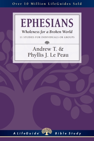Cover image: Ephesians 9780830830121