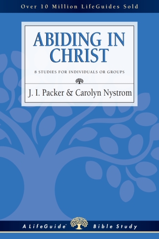 Cover image: Abiding in Christ 9780830860500
