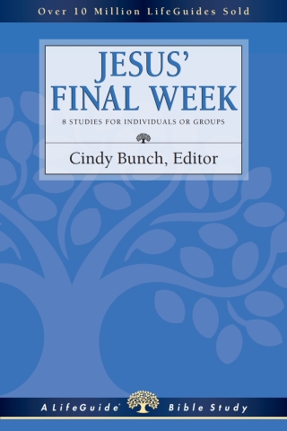 Imagen de portada: Jesus' Final Week 9780830830916