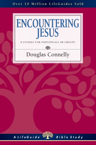 Cover image: Encountering Jesus 9780830830930