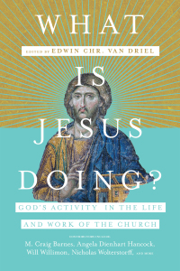 Cover image: What Is Jesus Doing? 9780830852604